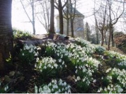 36. Painswick Rococo Garden